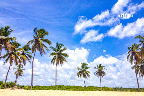 Punta Cana: Macao Surf Camp Private Surfing Lesson w/ Pickup