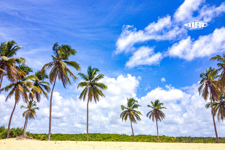Punta Cana: Macao Surf Camp Private Surfing Lesson w/ Pickup