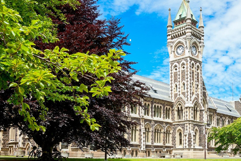 Dunedin City Highlights & Larnach Castle Tour