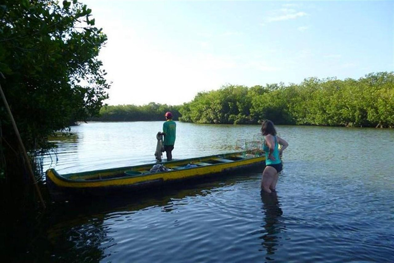 Cartagena: La Boquilla Fishing Village Tour with Cooking