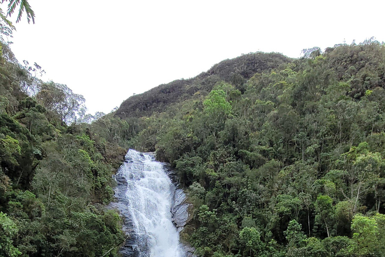 CAMINHO DO OURO - Guided tour Atlantic Forest, Waterfalls, Stories.