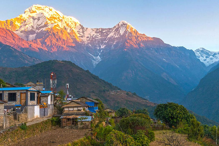 Från Pokhara: 7 dagar Khopra Hill Trek