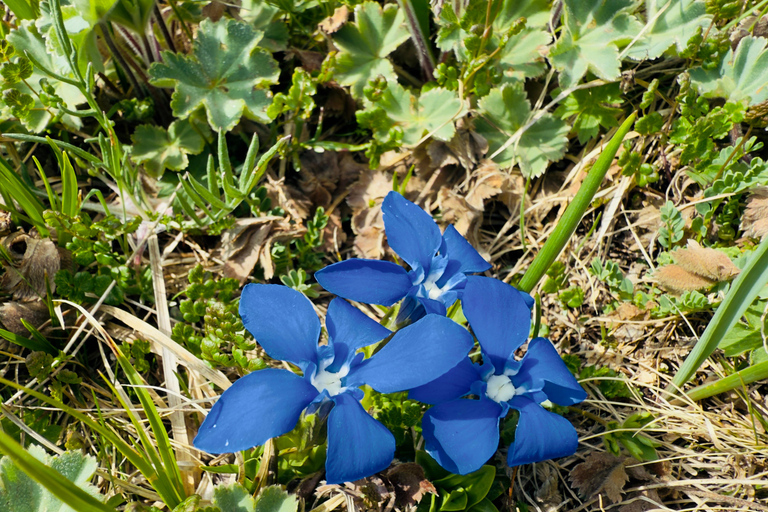 Yerevan: Azhdahak Mountain Hike with Jeep Ride