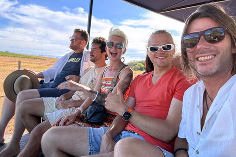 Ciudad del Cabo: Excursión al Vino con Tractor Hop-On Hop-Off de Stellenbosch