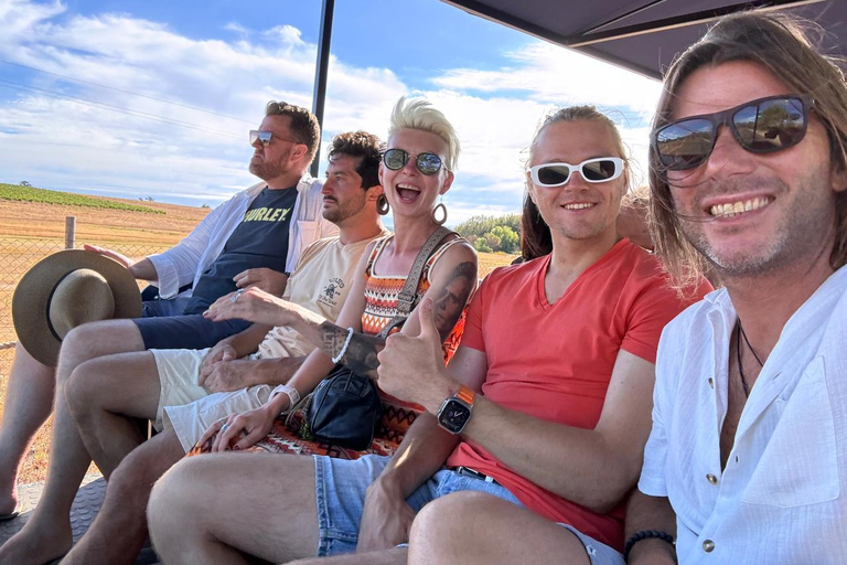 Kapstaden: Stellenbosch Sightseeing med hop-on hop-off Tractor Wine Tour