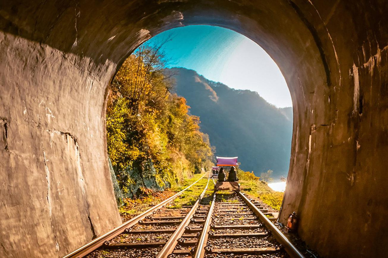 Depuis Séoul : L'île de Nami, le jardin coréen et l'excursion en vélo sur rail