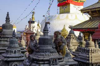 Ältester Markt, Kathmandu Durbar Square & Swayambhu Walking