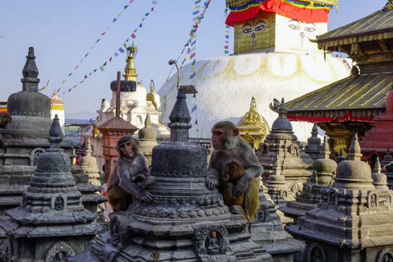 Le plus vieux marché, la place Durbar de Katmandou et la marche de Swayambhu