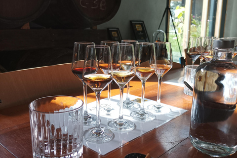 Rotterdam: Cley Distillery Tour & Whiskey Tasting Experience