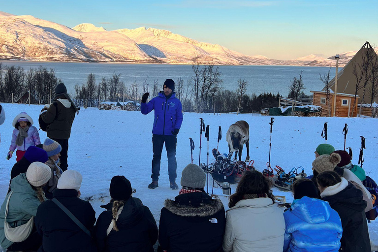 Tromsø: Snowshoeing with Reindeer