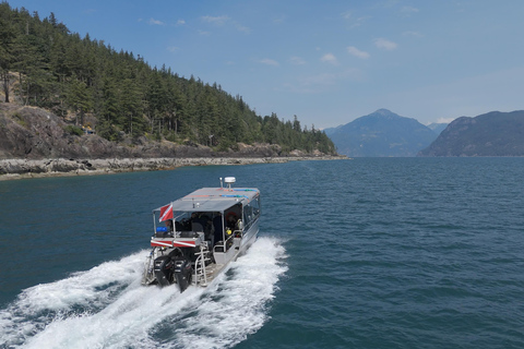 Vancouver: Howe Sound Wildlife and Scenery Boat Tour