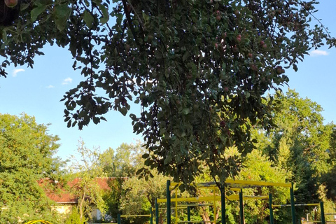 萨拉热窝：斯托伊切瓦茨自然步道