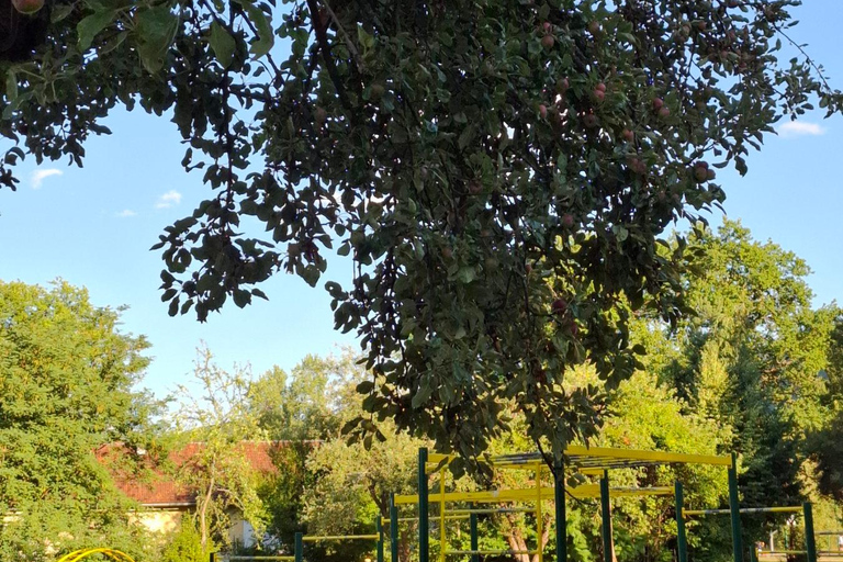 萨拉热窝：斯托伊切瓦茨自然步道