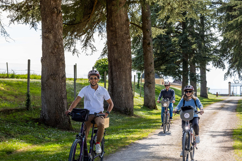 Saint Emilion Wine and Bike Tour Bordeaux: Saint-Emilion Electric Bike Tour with Picnic Lunch