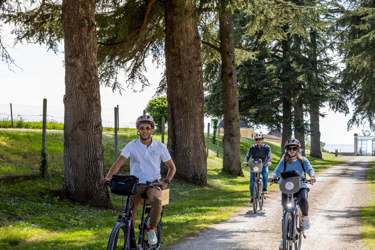 Saint Emilion Wine and Bike Tour Bordeaux: Saint-Emilion Electric Bike Tour with Picnic Lunch