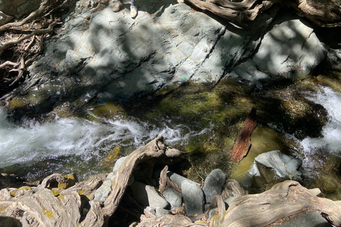 Meet the locals of Troodos Mountains