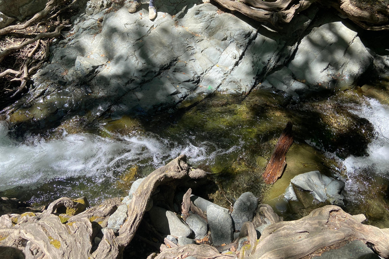 Meet the locals of Troodos Mountains