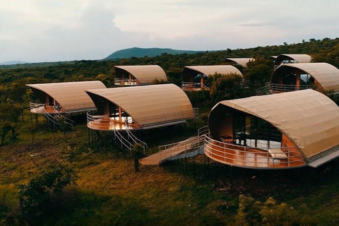 Safari privé de luxe de 2 jours au Ngorongoro depuis Zanzibar