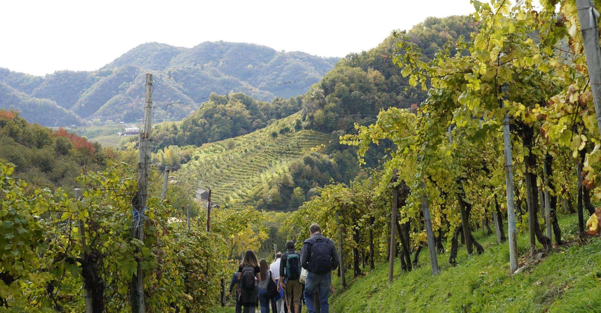 Valdobbiadene Hills, E-bike Tour with Food&Wine Tasting - Housity