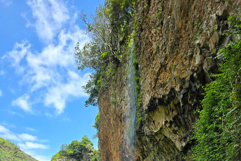 Excursion en jeep dans l&#039;ouest de Madère – Fanal, Seixal, piscines naturelles et petits groupes
