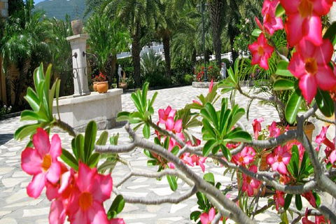 St. Kitts: Palm Court Pool with Jacuzzi Access