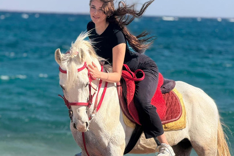 Szarm el-Szejk: jazda konna na pustyni i nad morzem z transferemSzarm el-Szejk: pustynia, morze i jazda konna z transferami