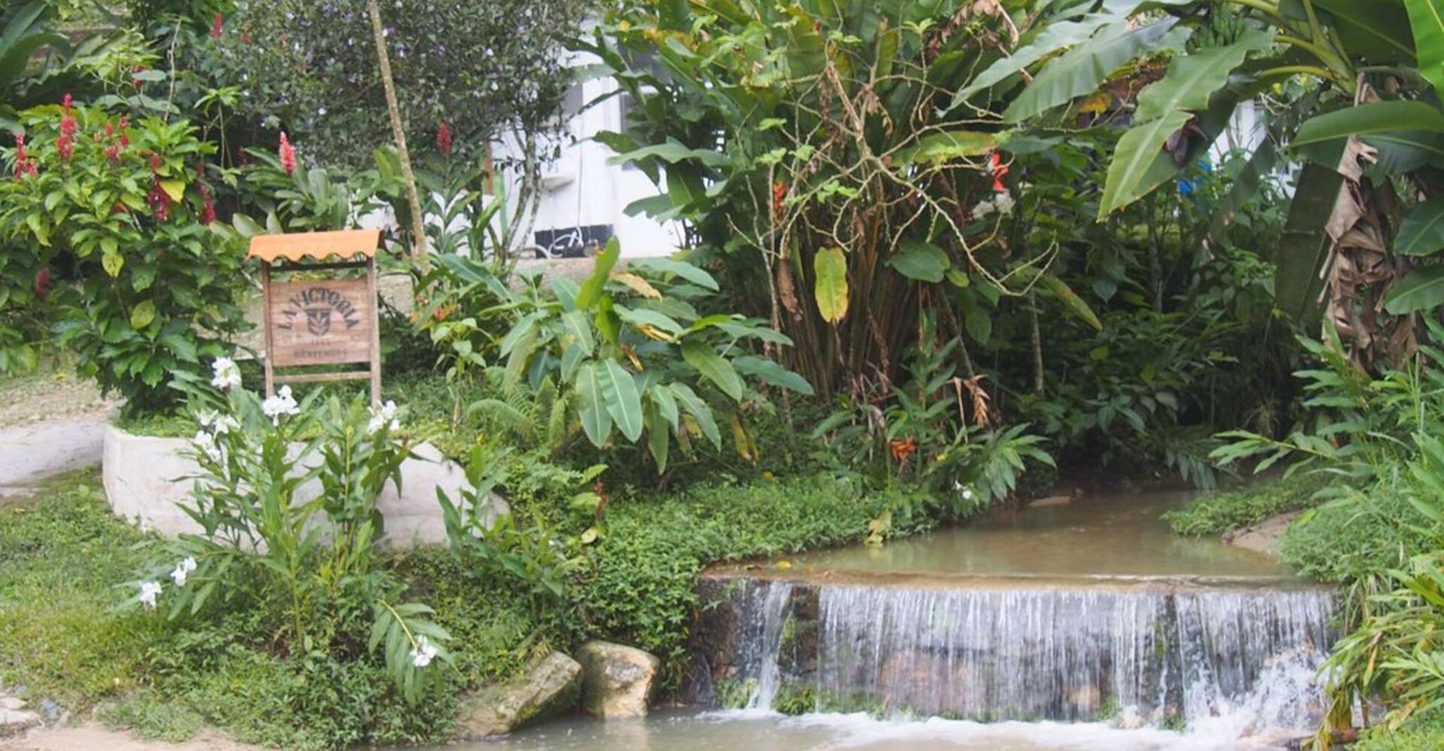 Minca, Waterfalls & Coffee Farm Tour - Housity