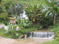 Minca, cascades et tournée de ferme de café - Housity