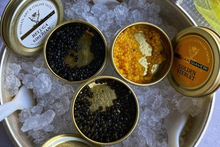 Ljubljana: Wine tasting tour