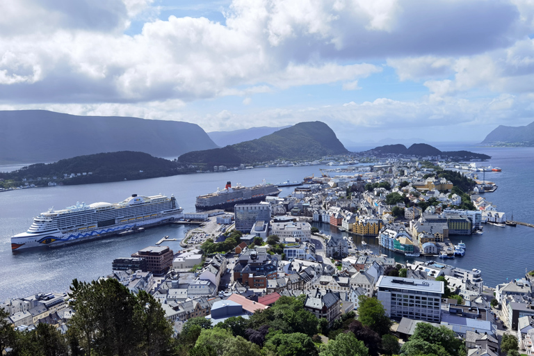 Tour flessibile di 6 giorni Oslo Bergen Ålesund gerianger Flåm