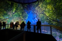 360° Panorama Amazonia - Housity