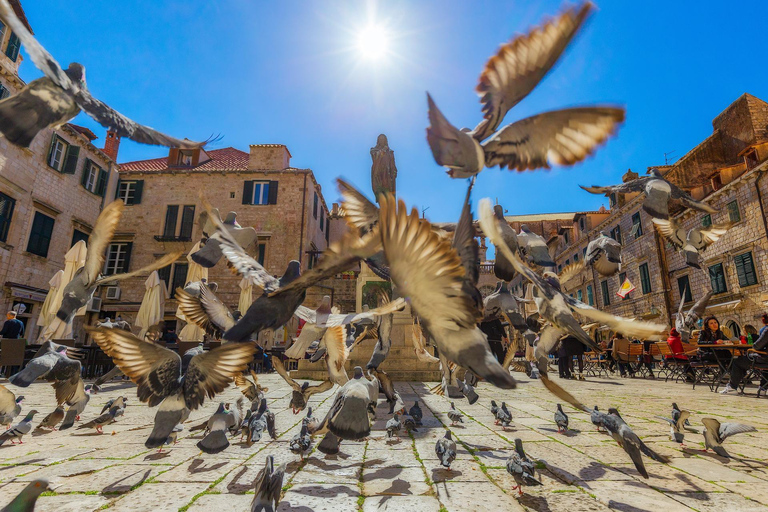 Dubrovnik for Kids: A Playful Family Walking Tour Experience