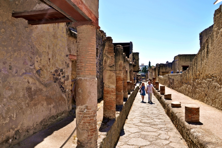 Sorrento: Transfer nach Neapel mit geführter Tour durch Herculaneum