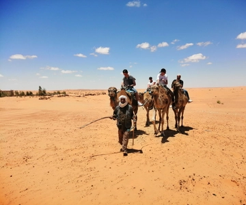 1H Camel ride in ksar Ghilane