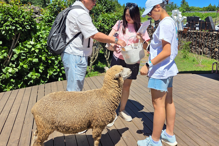 Excursión al atardecer por la isla de JejuExcursión al atardecer en la isla de Jeju