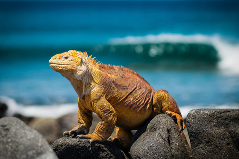 4-Day Galapagos Essential Budget Tour