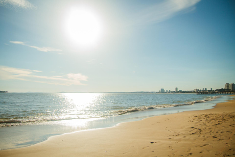 Punta del Este: Privétour te voet door de Joodse geschiedenis van de oude stadPunta del Este: Privétour te voet door de oude Joodse wijk