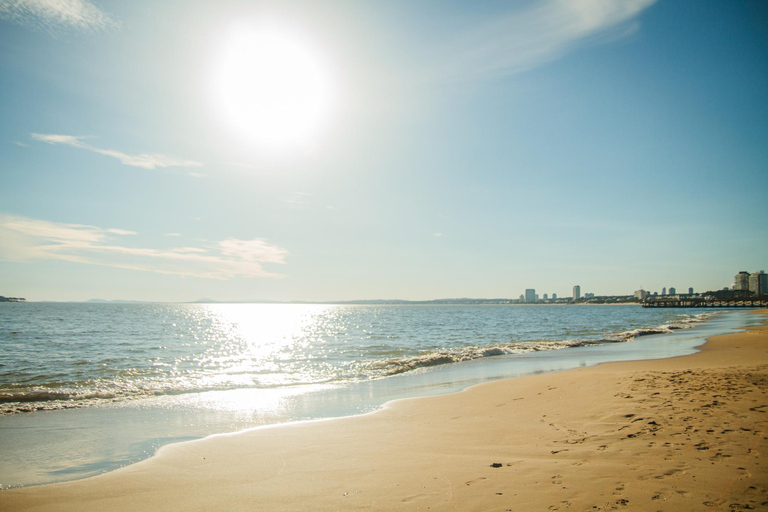 Punta del Este: Privétour te voet door de Joodse geschiedenis van de oude stadPunta del Este: Privétour te voet door de oude Joodse wijk