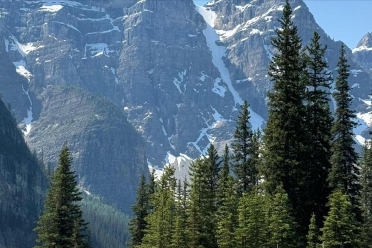 Banff Gondola, Hot Spring, Lake Minnewanka, Banff Town Tour.