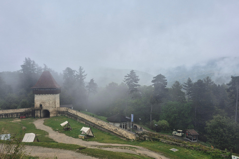Brașov: 3-day private tour – bears, canyon & hidden trails Private 3-Day Transylvania: Bears, Canyon & Hidden Trails
