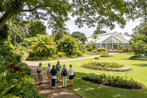 Brisbane: Mount Coot-tha Lookout and Botanic Gardens Tour