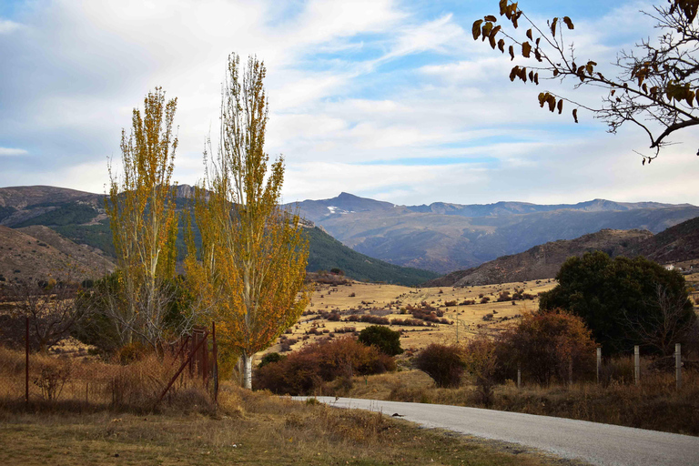 Granada: Small Group Tour to Sierra Nevada