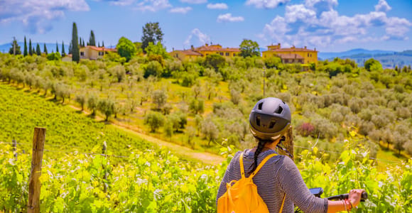 Florence: Chianti E-Bike Tour with Lunch & Two Wine Tastings