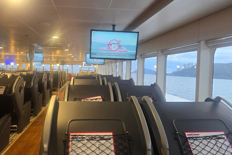 PanStar Busan Coastline Cruise & Sunset & Fireworks