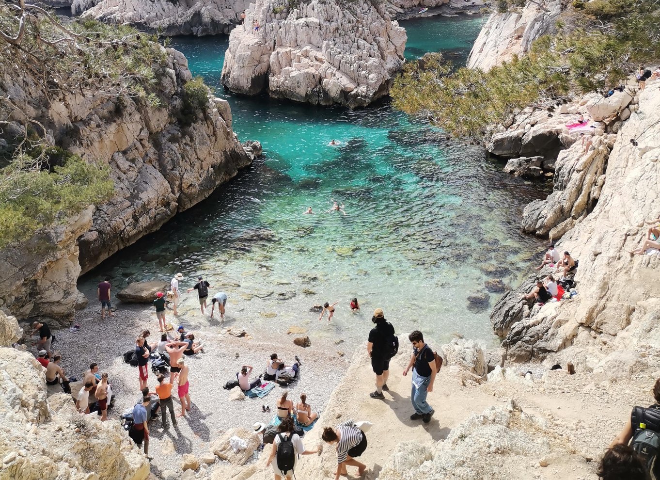 Marseille: Guidet vandretur i Calanques Nationalpark med picnic