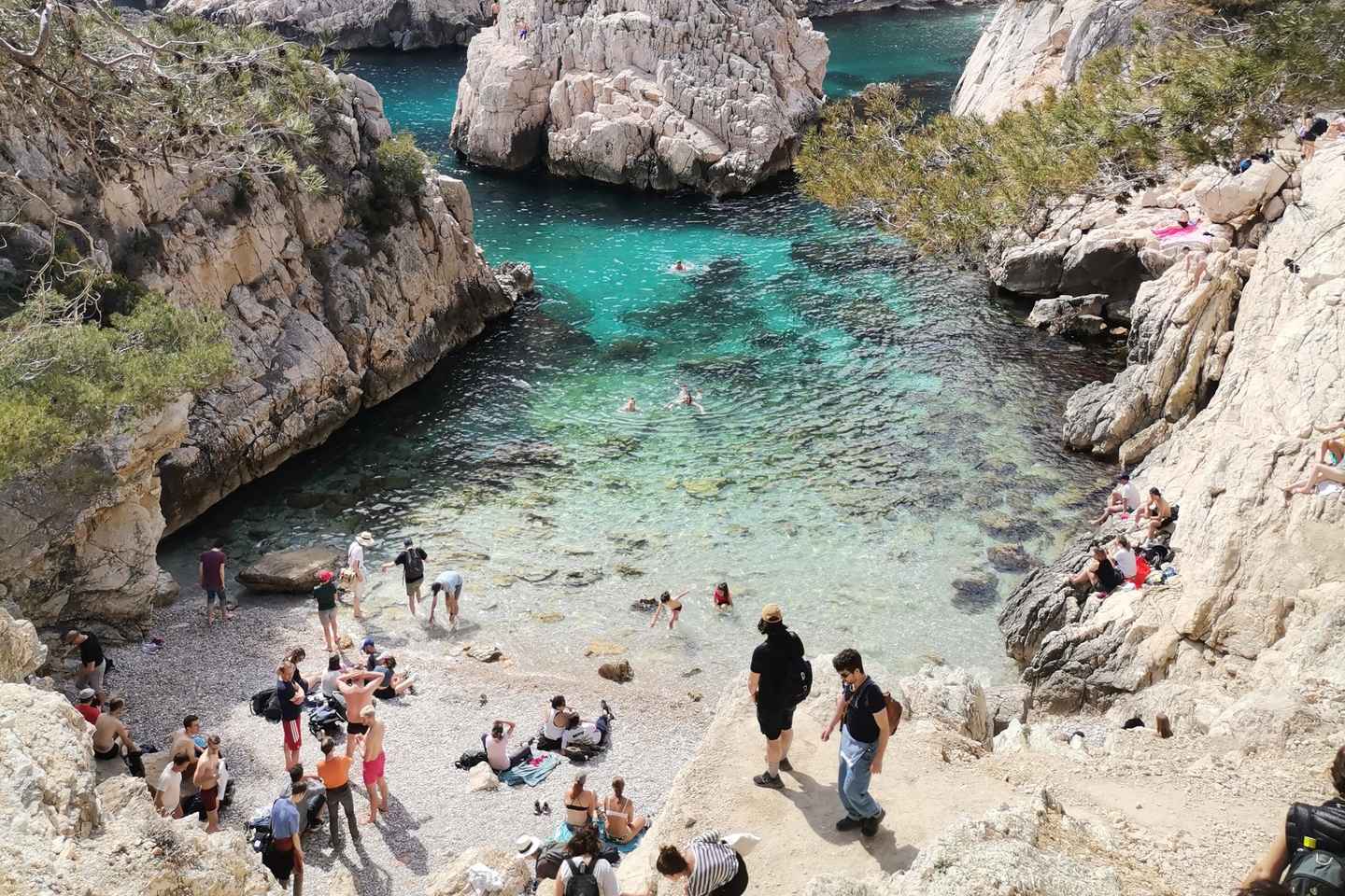 Marseille: Calanques National Park Guided Hike with Picnic - Student Ticket