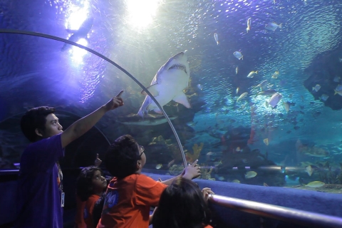 Kuala Lumpur: Bilet wstępu do Aquaria KLCCWejście w weekendy i święta dla osób spoza Malezji