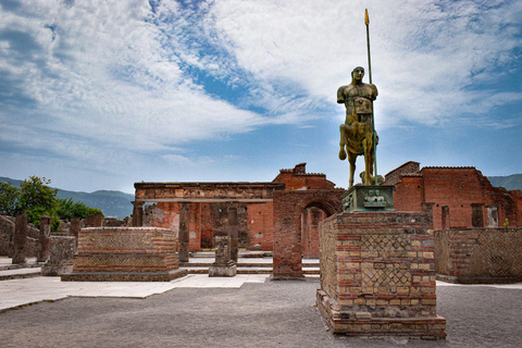 Naples : Excursion à Sorrente et Pompéi avec chauffeur privé