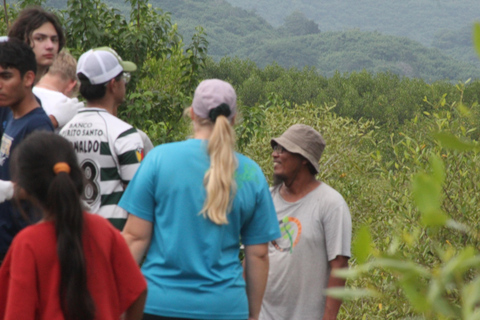 Bagek Kembar: Mangrove & Stingless Beekeeping Experience