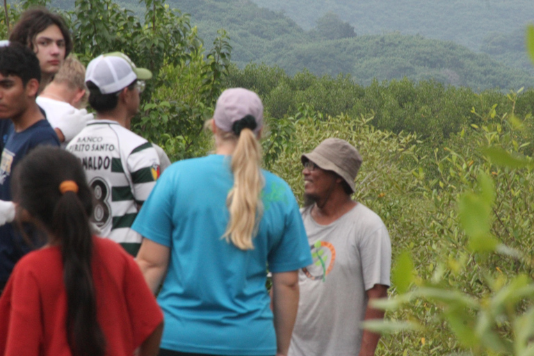 Bagek Kembar: Mangrove & Stingless Beekeeping Experience